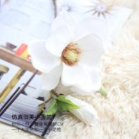 XU0611206